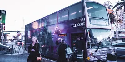 Constitutional & Public Law