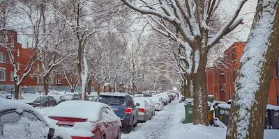 Defamation Law Services